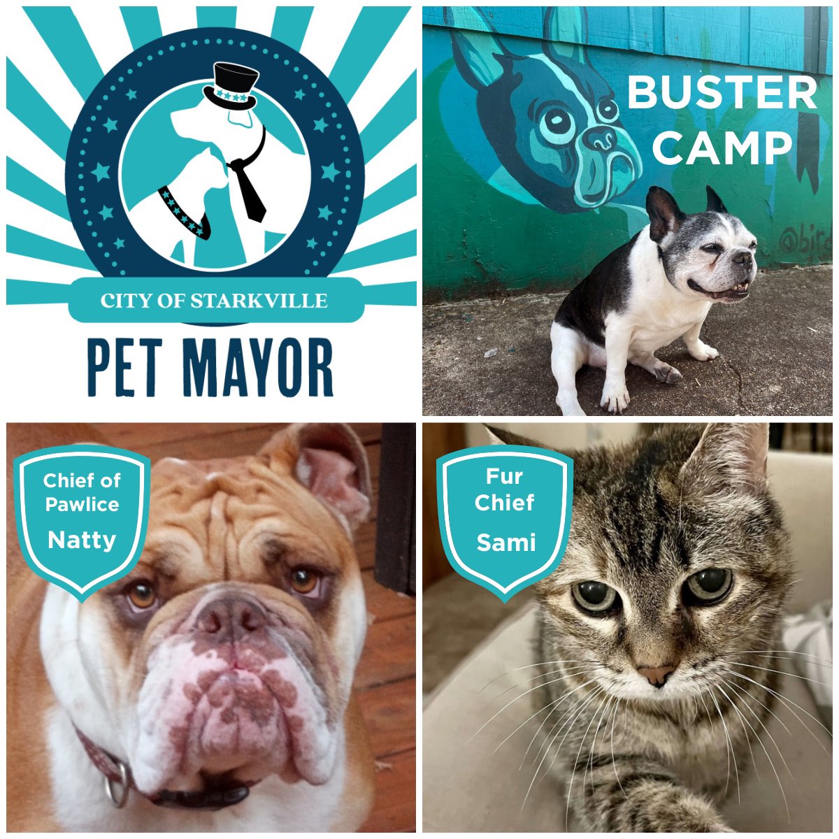 GSDPartnership's tweet photo. Officially official! 🗳️ 🗳️ 🗳️ 

Congratulations to our Pet Mayor, Buster Camp! 

Natty was elected Chief of Pawlice, and Sami Fur Chief. 

Our Board of Pawldermen include Rolo, Dexter, Itty Bitty, JoJo, and Wren! https://t.co/XAnprMwVcF