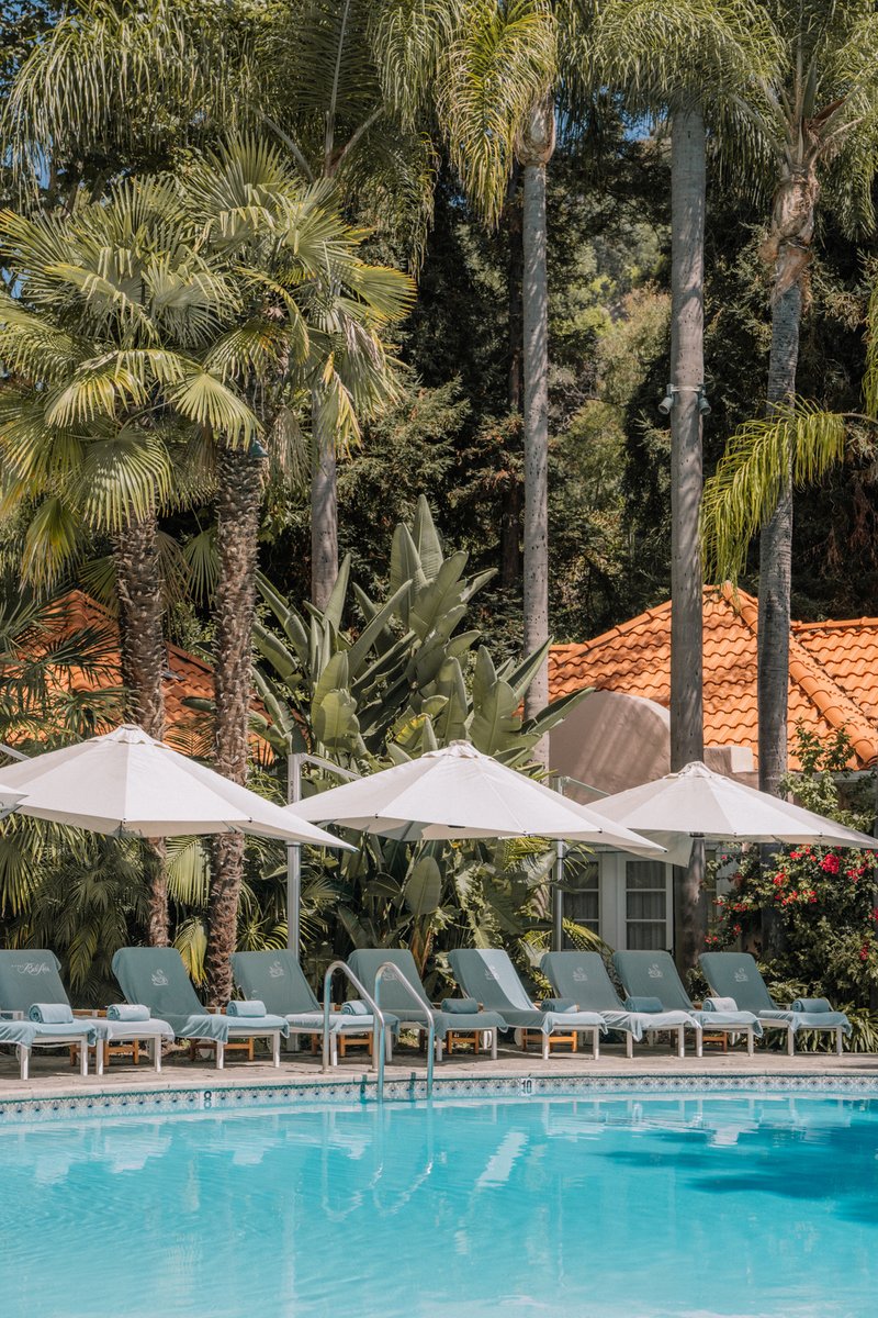 Meet us at the pool. 🌴 #DCmoments 📸 by @erikaexplores