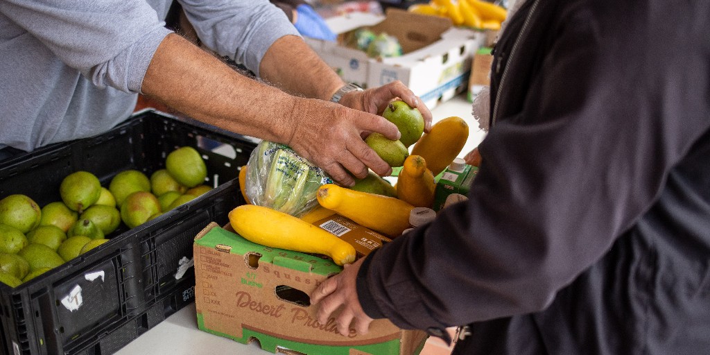 healthtruecare's tweet image. Join us TOMORROW (9/20) for a FREE food distribution in San Marcos from 11 am to 12:30 pm.

Location: Iglesia del Señor Jesucristo en las Américas San Marcos: 331 E. Olive St, San Marcos, CA 92069

For more info, call us at (760) 736-6777.

#HungerFreeSD #HungerAwarenessMonth