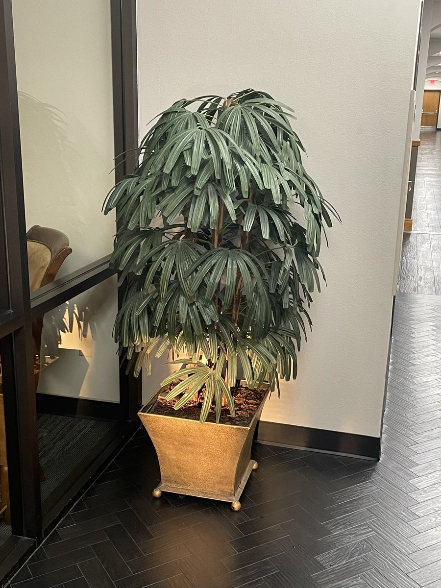 Over the past five years, one of the (admittedly infinitesimally small) things that I’ve done to be a better steward of creation has been to dump days-old partial glasses of water into this tree (rather than just down a drain or whatever).

Just learned that it’s a plastic tree.