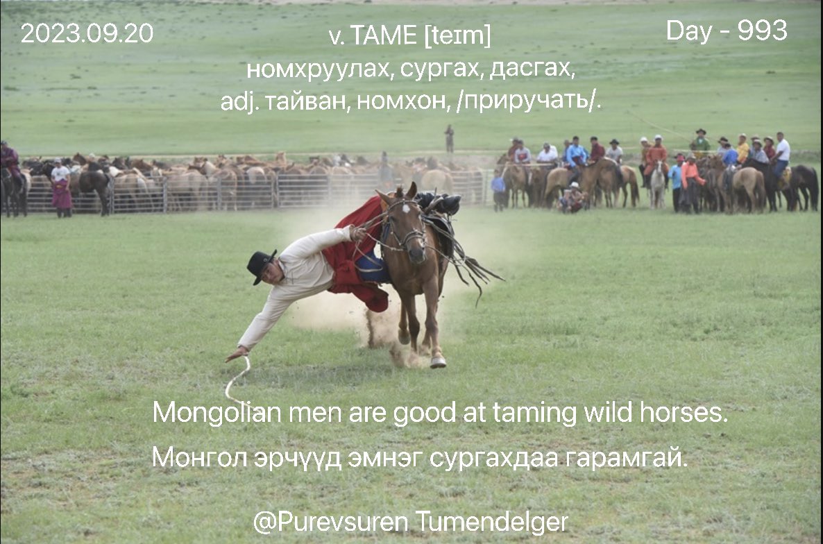 puujee_lawyer's tweet photo. Өглөөний мэнд, #Day993
2023.09.20

*v. TAME [teɪm] - ��омхруулах, сургах, дасгах, adj. тайван, номхон, /приручать/.

ex:

Mongolian men are good at taming wild horses.

Монгол эрчүүд эмнэг сургахдаа гарамгай.

*to make a wild animal tame.

#1өдөрт1шинэүг. #ЗөвДадал #DailyEnglish https://t.co/2EBkLB1mvu
