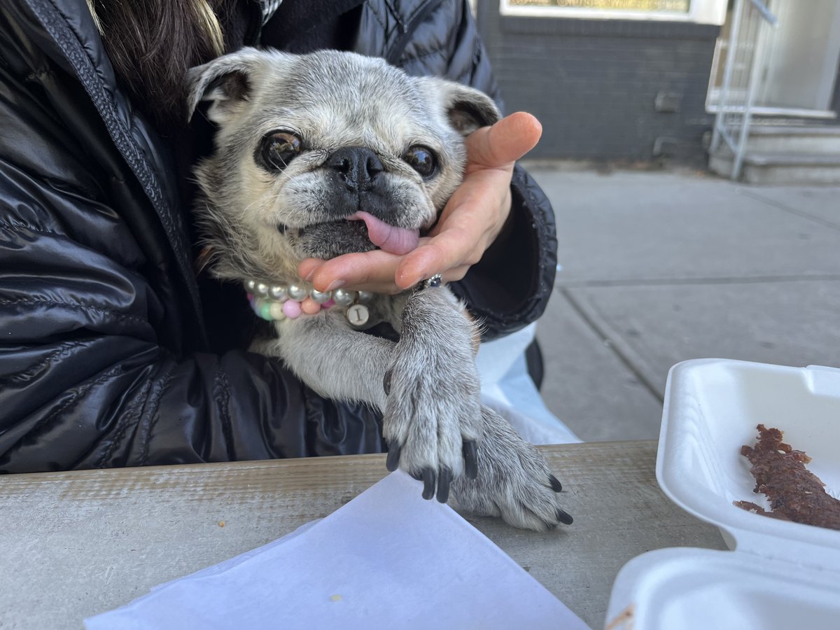 Joseph Mallozzi 🏴‍☠️ tweet media