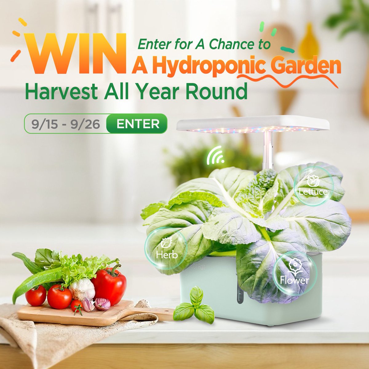 #Giveaway Alert! 🎁 Grow your own foods indoors and enjoy harvesting all year round. LetPot Smart Hydroponic Garden has an app remote control, so all you have to do is plant + wait for your harvest! 10 lucky winners will be chosen on 9/27! 🍀 👉 Enter @ bit.ly/3Pg606q