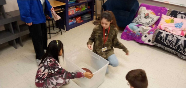 Needville Middle School tweet media