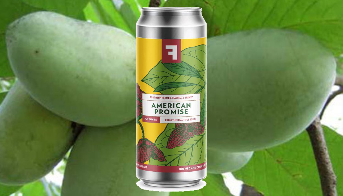 This week's Expert Topic covers Brewing with Regional Ingredients. Beer expert <a href="/John_Holl/">John Holl</a>  spoke with Sean Lilly Wilson of @Fullsteam Brewery in Durham, NC about regional ingredients his #brewery has used - including pawpaw...

Read it here 👉 probrewer.com/production/ing…

#craftbeer