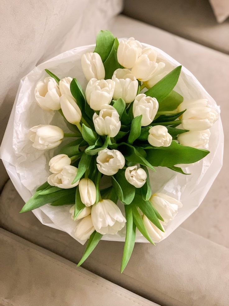 {💚} มอร์นิ่งคนอ่านที่น่ารัก ꔛ
ขอให้เป็นกลางสัปดาห์ที่น่ารักของทุกคน มีเรื่องดีๆเกิดขึ้นกับหัวใจ ถูกโอบกอดด้วยความรักและคนน่ารักตลอดทั้งวัน มีรอยยิ้มที่สดใสให้ตัวเองและขอให้วันนี้เป็นวันที่ดีมากๆของคนเก่งทุกคนเลยนะคะ 🍀