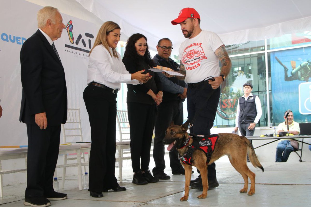 TlalpanAl's tweet photo. 🌟 Hoy, 20 valientes lomitos se graduaron del 2️⃣º Taller de Perros de Búsqueda y Rescate 2023. 🐾👏

La alcaldesa @alfagonzalezm encabezó la clausura de este curso, junto a su gabinete y la @FedCanofilaMex, marcando una diferencia por la seguridad de los tlalpenses. https://t.co/WGaHxG10Ko