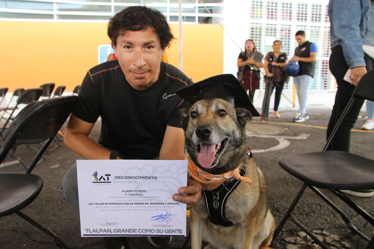 TlalpanAl's tweet photo. 🌟 Hoy, 20 valientes lomitos se graduaron del 2️⃣º Taller de Perros de Búsqueda y Rescate 2023. 🐾👏

La alcaldesa @alfagonzalezm encabezó la clausura de este curso, junto a su gabinete y la @FedCanofilaMex, marcando una diferencia por la seguridad de los tlalpenses. https://t.co/WGaHxG10Ko