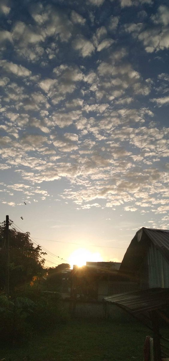 am_mener's tweet photo. เช้านี้ไมีมีฝนค่ะเฮีย แดดออกมีหมอกอ่อนๆ อากาศดีมากก ปลายฝนต้นหนาวคือดีมาก ชอบมาก🦋
#BLUSKYCHECK
#ท้องฟ้าใกล้ฉัน
#เป๊กผลิตโชค
#PeckPaLitChoke https://t.co/bRbrbQviAt
