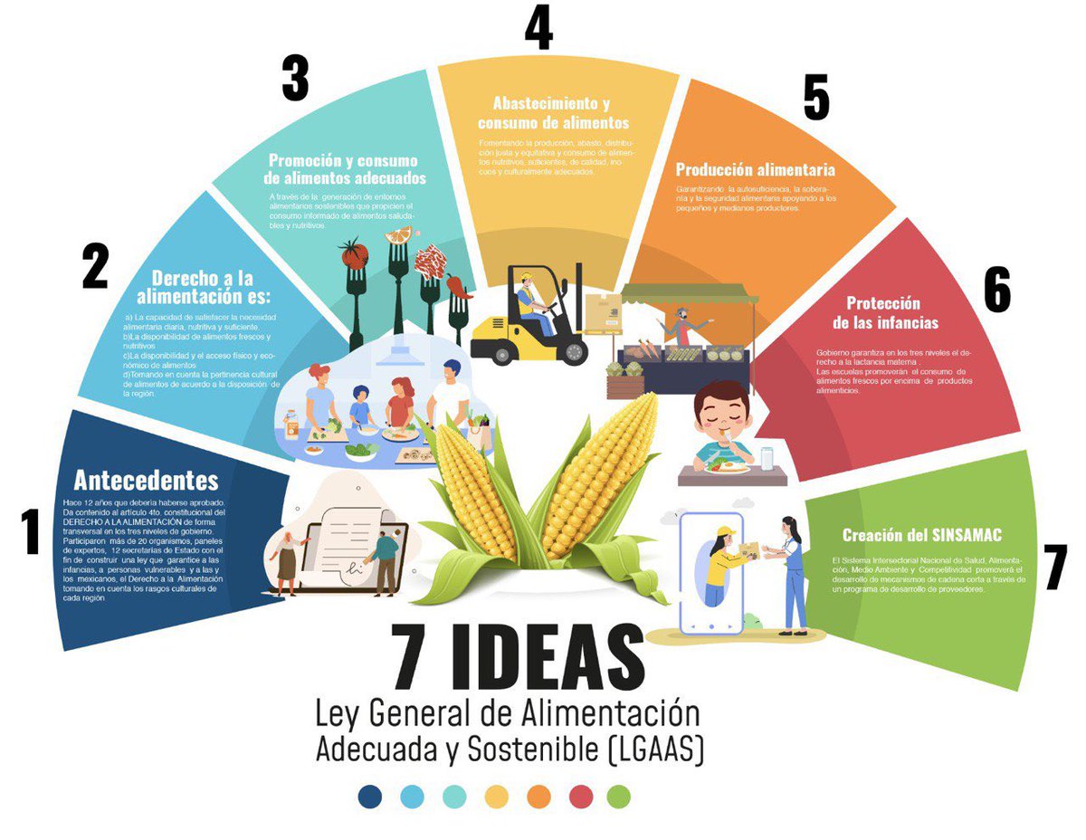 AnaLiliaRivra's tweet photo. Tras 12 de años de espera, por fin aprobamos en el @senadomexicano, la Ley General de Alimentación Adecuada y Sostenible.👏🍏🇲🇽 https://t.co/0viVqaJ6Wa