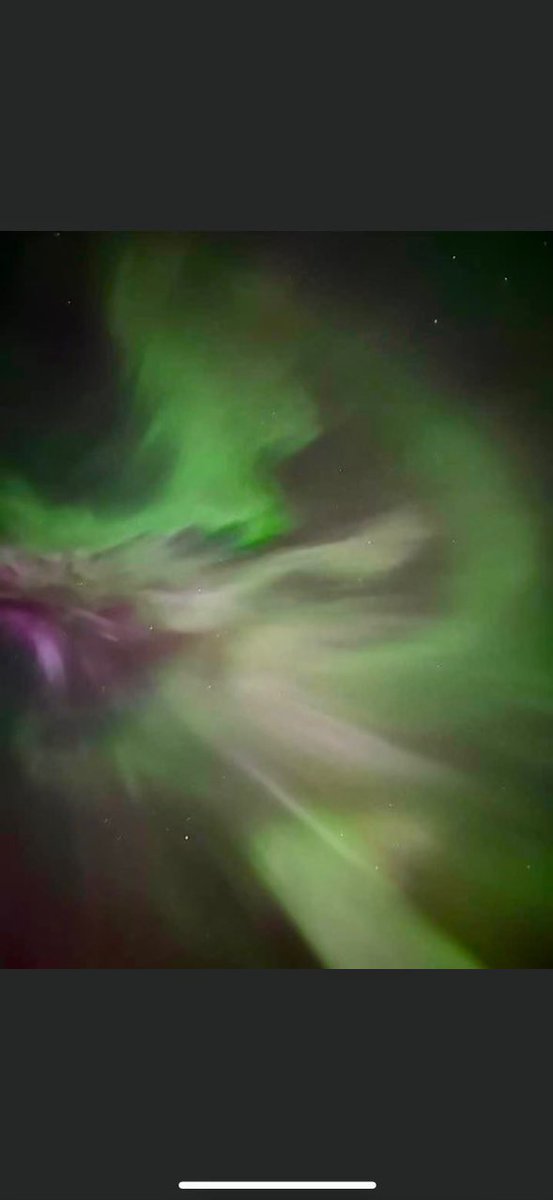 Chippewa National Forest tweet media