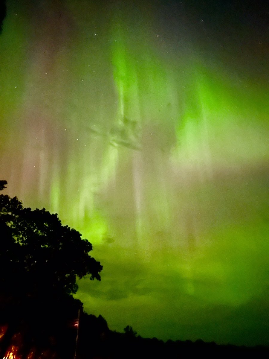 Chippewa National Forest tweet media