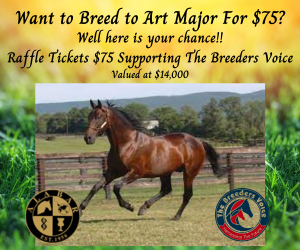 BreedersVoice's tweet photo. Don't miss your chance grab a ticket &amp; maybe breed to one of GOAT in Art Major Tickets $75 https://t.co/S3URnQ7IbB for more details @Alabarfarms Members draw Bling It On or A rocknroll dance @CobbittyEquine @somerset_farms https://t.co/41Wh43GZvL