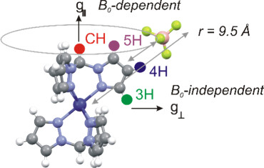 bhkenlo's tweet photo. Field- and Temperature-Dependent Paramagnetic Relaxation Enhancements in Co(II) Trispyrazolylmethanes | Inorganic Chemistry https://t.co/B71rtrwQ67 Tierney and co-workers @InorgChem #cobalt #paramagnetic #PREs #dynamic #JahnTeller #NMR #CASSCF https://t.co/BRsDPmfLiP