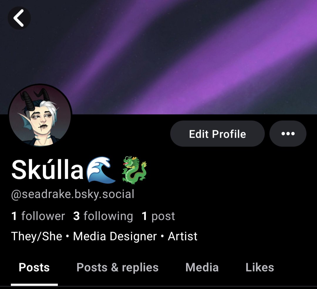 Skúlla 🌊🐉 || Hiatus tweet media