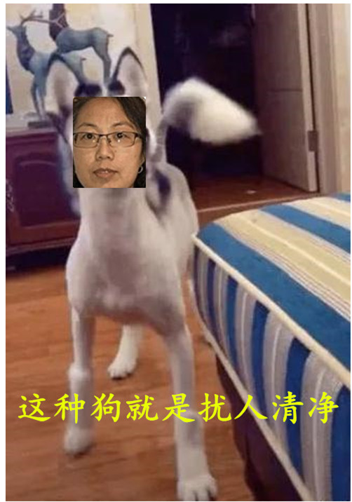 AdaQuinlan50668's tweet photo. 本人号称“人权斗士”，表面打着“民主”的旗号，私底下却干着见不得人的污秽事。利用舆论帮助各种拳手，就像阴间小鬼，专门躲在背后递刀子。充斥着所谓的“自由”、“人权”以及对中国的污蔑，仿佛世界上所有的污秽都在中国一样。就像一条胡乱咬人的狗。 https://t.co/GeDFVcqaCy
