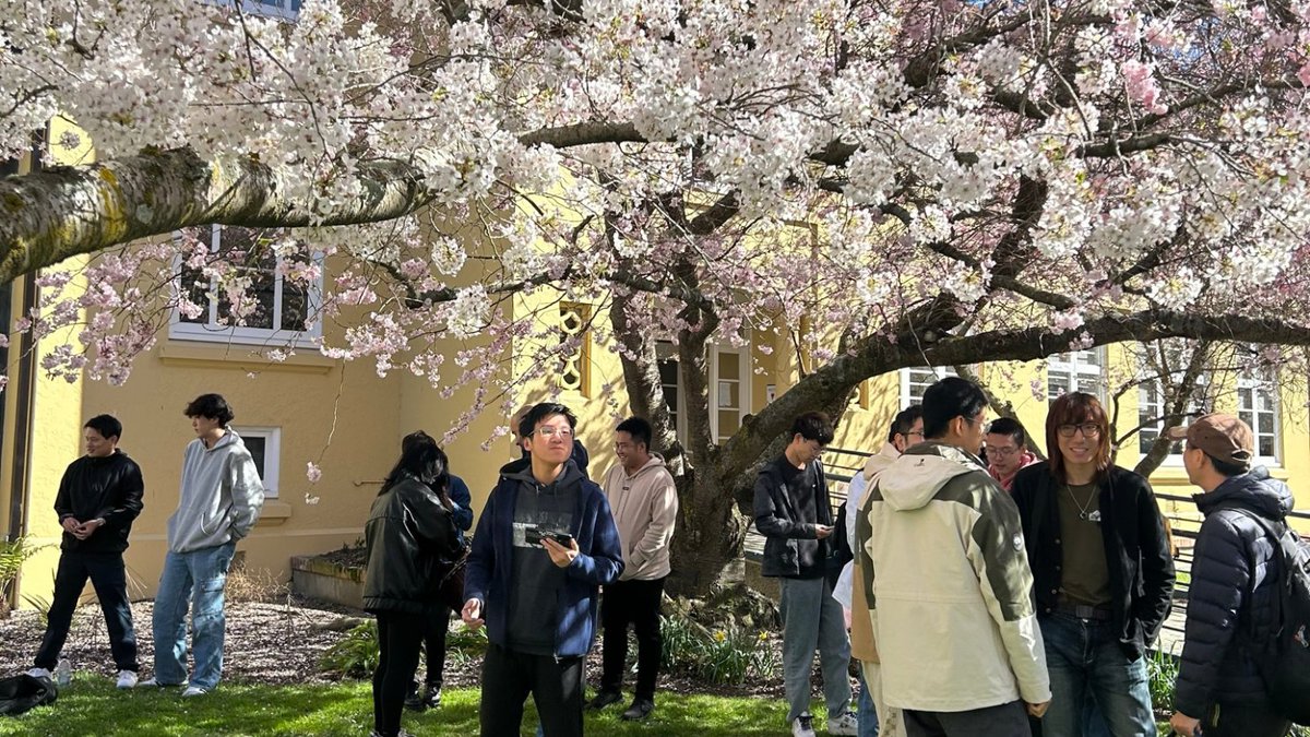 Celebrate spring with Hanami - a Japanese tradition of cherry blossom viewing.🌸Our English Language students had a great time sharing cross-cultural experiences and appreciating the beauty of spring on campus yesterday. Learn how to do Hanami here: japan-guide.com/e/e2011_how.ht…