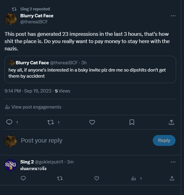 Blurry Cat Face tweet media