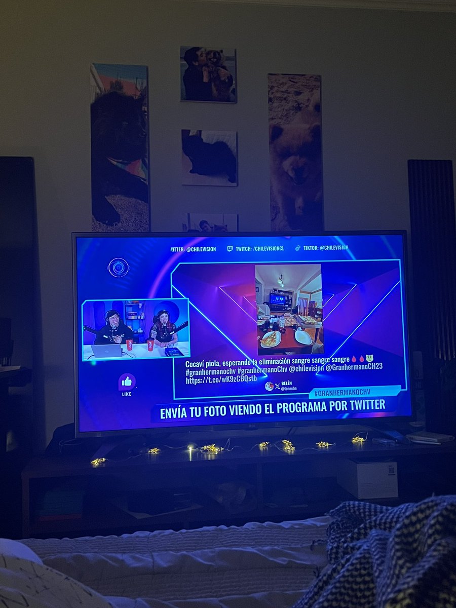 Alekid's tweet photo. Desde viña viéndolos chicos, saludos a mi fiu DAN que lo amo mucho! @GranhermanoCH23 #granhermanoChv https://t.co/SIBNQJcmge