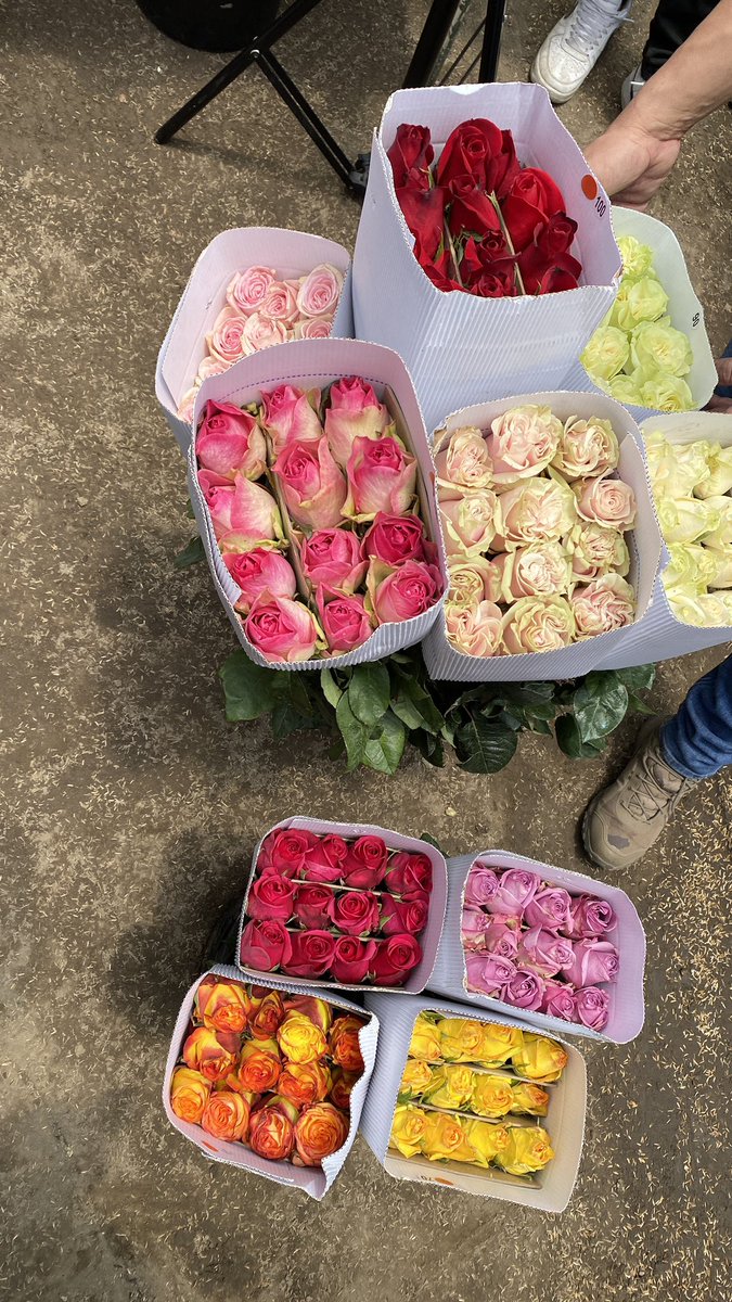 Una visita exitosa a #Bailadores #Merida. Fresas, rosas y otros flores. La Alcaldesa Carla Pérez colabora muy bien con los empresarios locales. Aquí en la Photo con Randolf Stuyvesant, de Ecoflowers que produce rosas de altísima calidad.