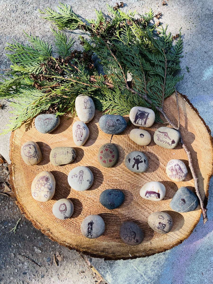 MiriamTratt's tweet photo. Meet our new family members in Room 10 ⁦@SD41marlborough! #togetherisbetter https://t.co/4YIVIhDYbp