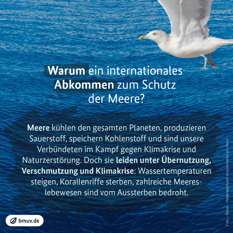 _BMUKN's tweet photo. Mehr Schutz für Meere 🌊 Heute wird in New York das erste globale Hochseeschutzabkommen #BBNJ unterzeichnet. Damit kann erstmalig die Hohe See geschützt werden.