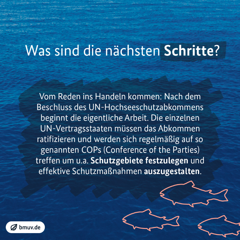 _BMUKN's tweet photo. Mehr Schutz für Meere 🌊 Heute wird in New York das erste globale Hochseeschutzabkommen #BBNJ unterzeichnet. Damit kann erstmalig die Hohe See geschützt werden.