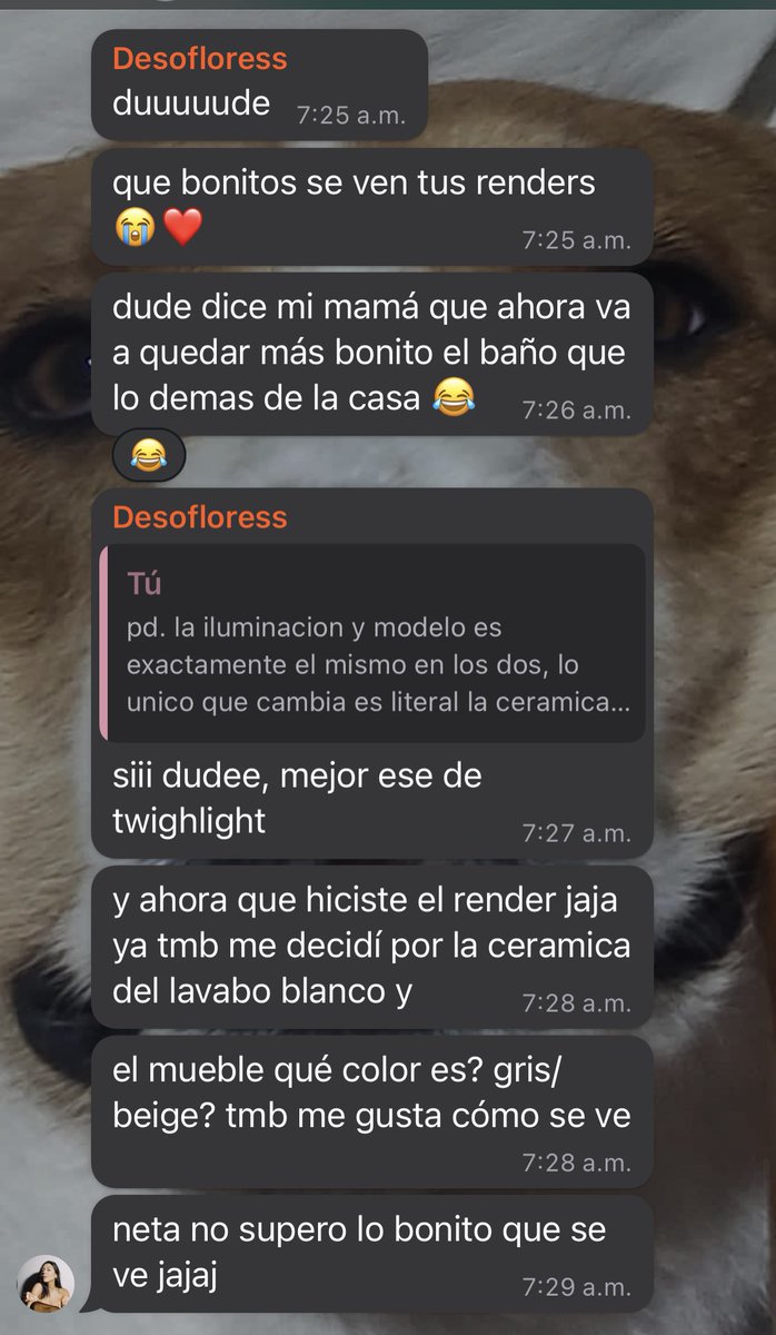 ferflss's tweet image. this could be the start of something new!