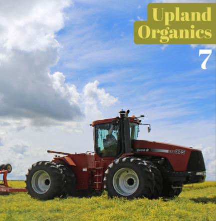 Happy #OrganicWeek2023! In our latest Abundance Magazine Issue, Summer 2023, we interviewed Cody Straza and Allison Squires of @UplandOrganics @UplandAllison in Wood Mountain, SK. Read article: dropbox.com/scl/fi/fxk8ywi… #OrganicWeek2023 #organic #organicfarmer #SaskOrganics