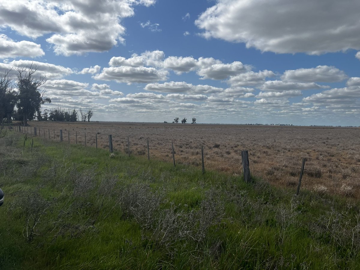 Daniel Nugent (@dr_dannugent) on Twitter photo Devastated. This was a native grassland (federally listed) in North Vic, home to threatened species, a few weeks ago but now a cultivated paddock. It was reported at time of spraying but no action <a href="/DEECA_Vic/">DEECA Victoria</a> <a href="/campaspeshire/">Campaspe Shire</a> . Death of our unique grasslands by a thousand cuts... Devastated. This was a native grassland (federally listed) in North Vic, home to threatened species, a few weeks ago but now a cultivated paddock. It was reported at time of spraying but no action <a href="/DEECA_Vic/">DEECA Victoria</a> <a href="/campaspeshire/">Campaspe Shire</a> . Death of our unique grasslands by a thousand cuts...