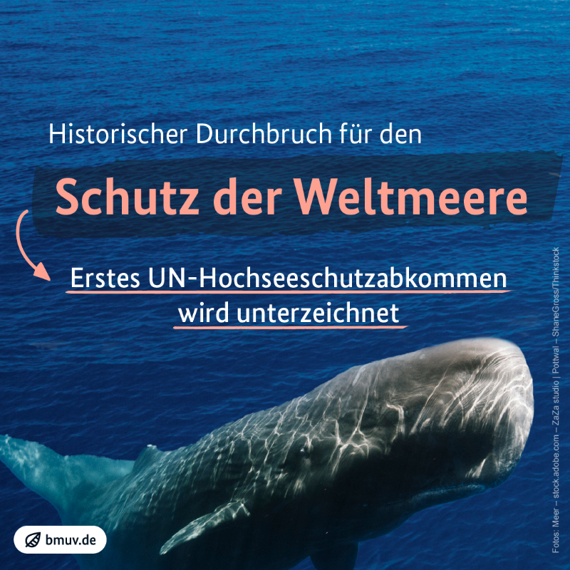 _BMUKN's tweet photo. Mehr Schutz für Meere 🌊 Heute wird in New York das erste globale Hochseeschutzabkommen #BBNJ unterzeichnet. Damit kann erstmalig die Hohe See geschützt werden.