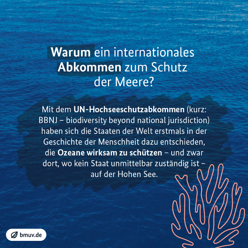 _BMUKN's tweet photo. Mehr Schutz für Meere 🌊 Heute wird in New York das erste globale Hochseeschutzabkommen #BBNJ unterzeichnet. Damit kann erstmalig die Hohe See geschützt werden.