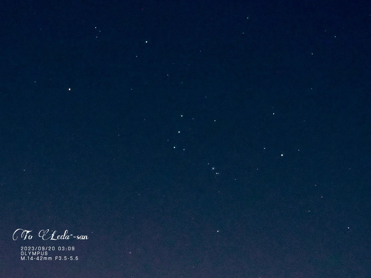 roseleonliliy78's tweet photo. 🌟2023/09/20旧暦:8/6
🌹撮影📸🔭03:09

本日の
【 #Orion 「#オリオン座」】
#Meissa🌟
#Betelgeuse🌟 
#Bellatrix🌟
#OrionsSword✨✨✨ 
#Rigel🌟
#Saiph🌟

少し靄🌫️と雲☁️あり！
でも、けっこういい感じに撮影できて嬉しいです🥹🥹💗

🌹(*´˘`*)ꀿªᵖᵖᵞ˚❁｡.･📸🔭💗🌹🌸🦢✨🌟🌒🌙 https://t.co/E9fB6pPa0C