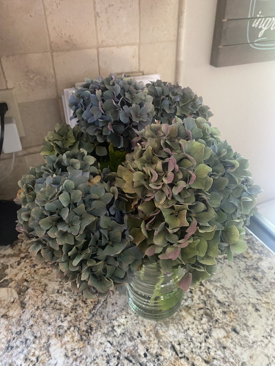 brooke_thomas7's tweet photo. New flowers from my backyard and orange flannel for fall 😜🍁🍂 https://t.co/SRk6GIdZBC