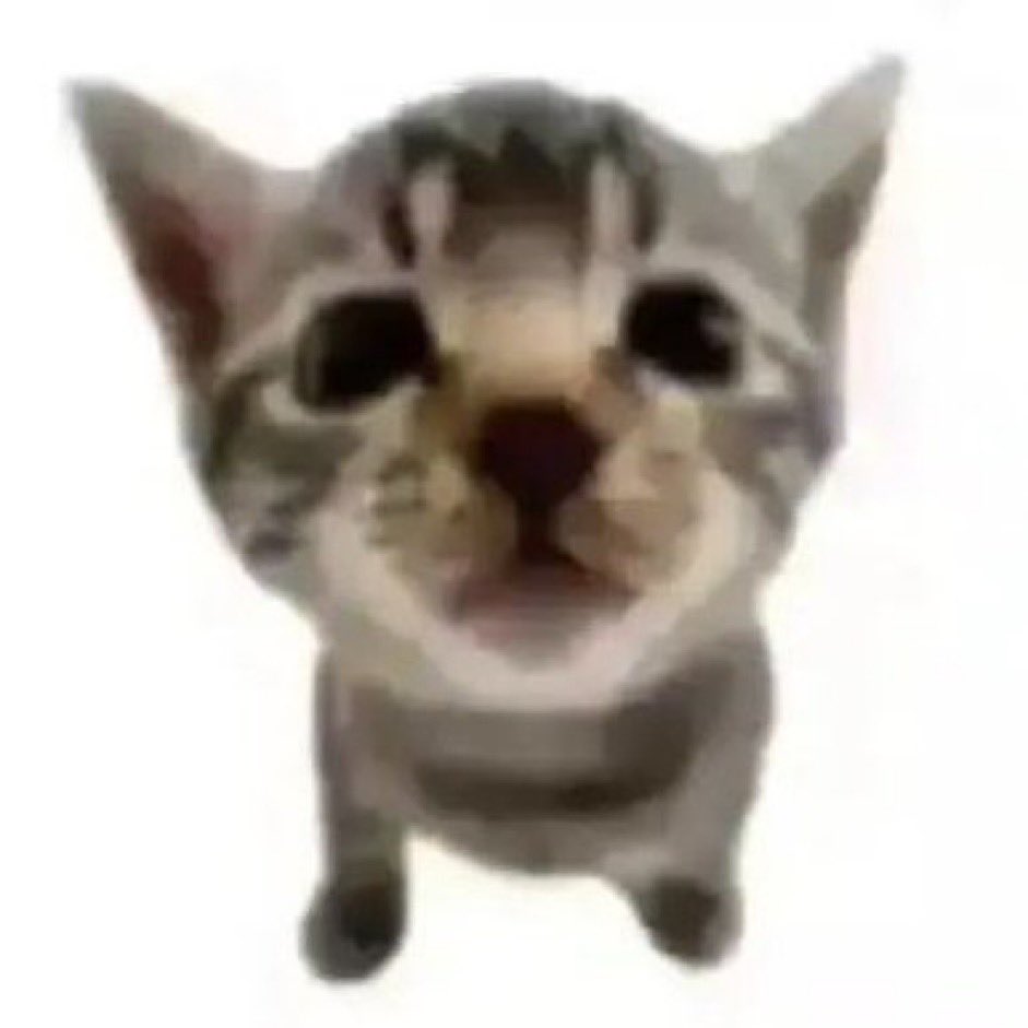 Gravesquatter_'s tweet photo. @iluvcats2002 https://t.co/Xliwa8yn2S