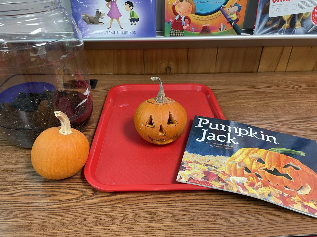 mrsberger1993's tweet photo. Itโs time for this yearโs Pumpkin Jack! Iโm using Jackโs pumpkins from last year. #pumpkinlifecycle @BirkesCFISD https://t.co/YsdMw9Ckep