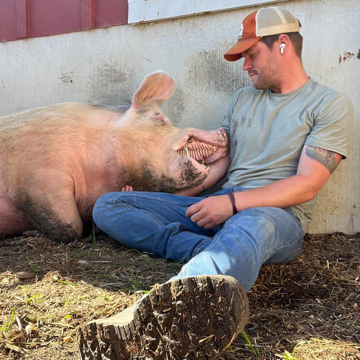 austinblake101's tweet photo. Always make sure the good is meant to happen for the Best 😊 Love all animals and believe they have all best to offer. 🏇😉#theanimalssanctuary
#greatanimalscareer
#animalloverforever
#rescueanimalteam
#AnimalLovers https://t.co/xED3CXhluu