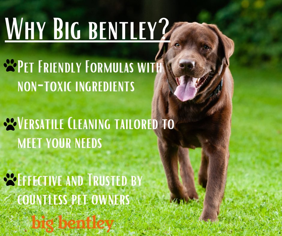 BigBentleysPS's tweet photo. https://t.co/l8haiSqBMO https://t.co/ohJmn5yw3v