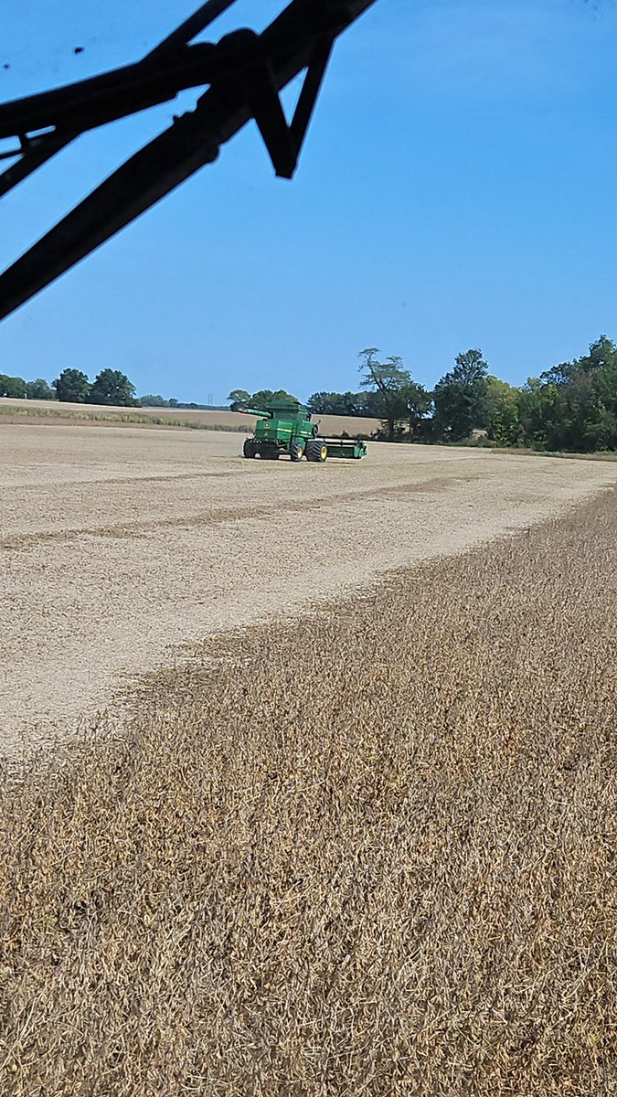 TuttleChance's tweet photo. Dad got the 8820 out to play. By far our best bean harvest so far! https://t.co/nGD7kMEDAR
