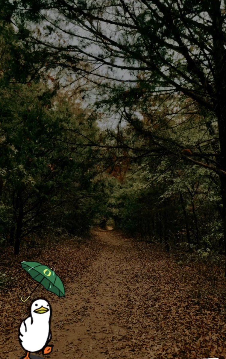 Just walking in the rain… 😊 <a href="/MyPeakChallenge/">My Peak Challenge</a> <a href="/NTXPeakers/">North Texas (NTX) Peakers</a> <a href="/SamHeughan/">Sam Heughan</a> #MoonroStepChallenge