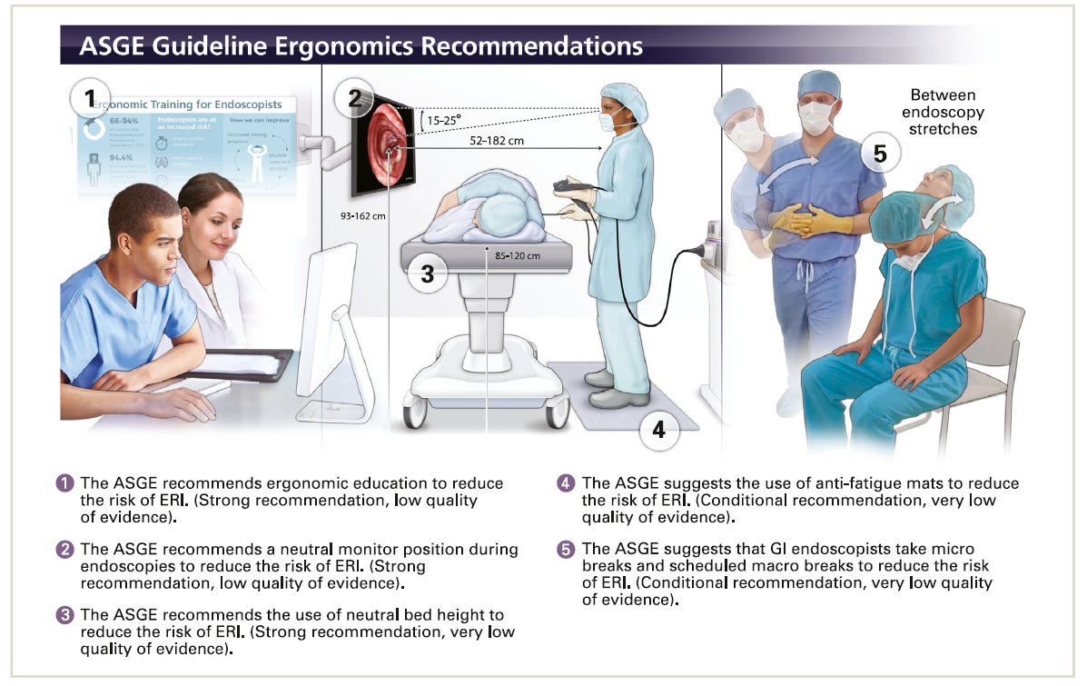 Don't just do the right thing.

Also do it the right way!

<a href="/ASGEendoscopy/">ASGE GI Endoscopy</a> guidelines on the role of ergonomics for  prevention of endoscopy-related injury: summary and recommendations <a href="/GIE_Journal/">GIE</a>

giejournal.org/article/S0016-…

#GITwitter