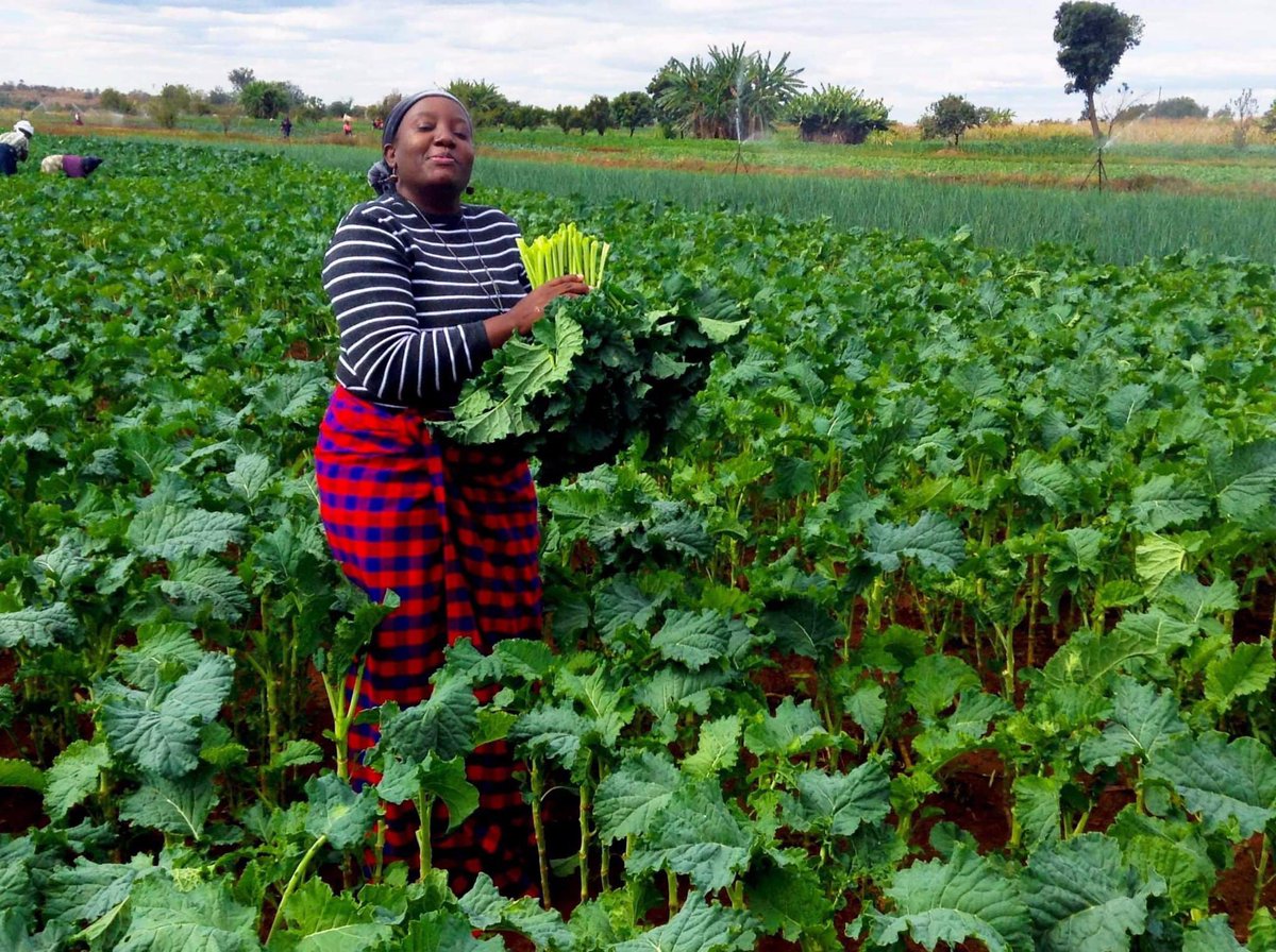 Wenceslous Nyamupfukudza tweet media