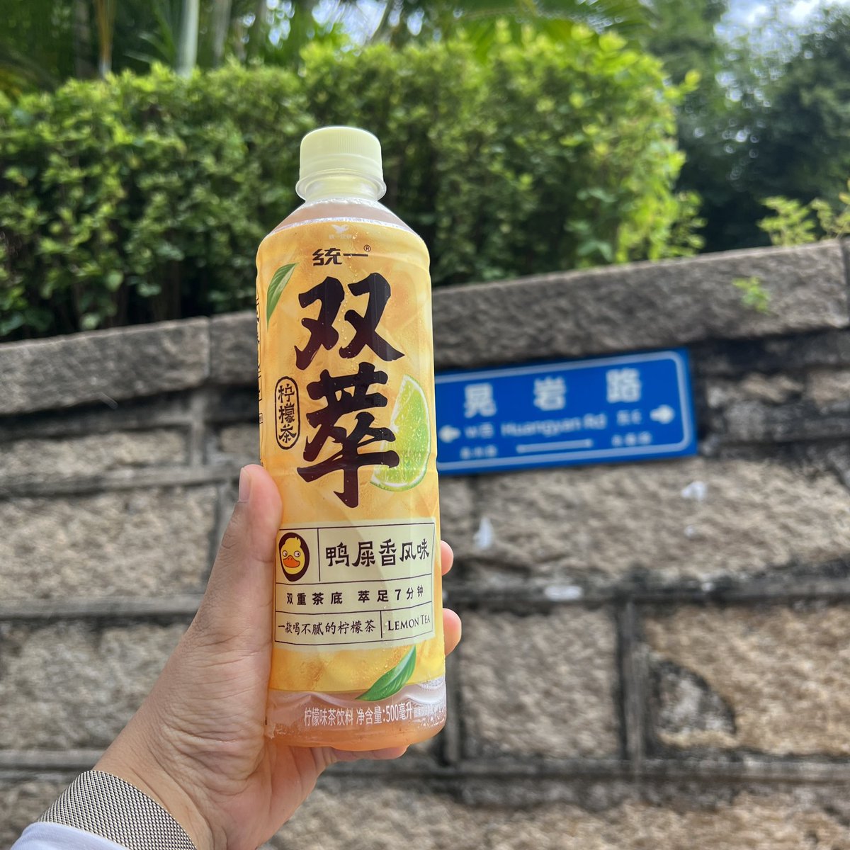 zlin0430's tweet photo. 🍵🌴 https://t.co/oTpo6ptD32