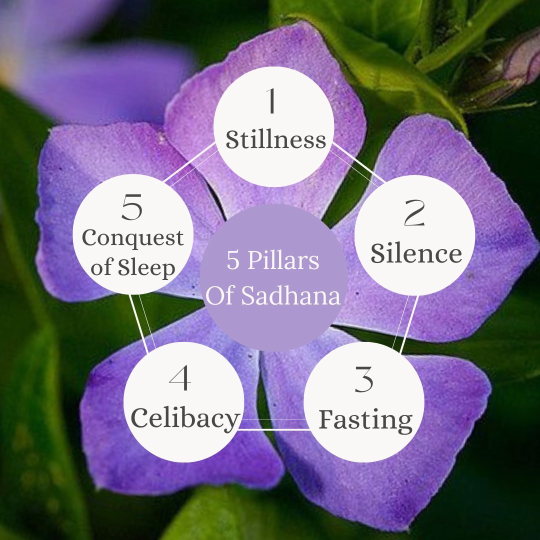 hoyogaschool's tweet image. Part 1 : 5 Pillars of Sadhana 
1. Stillness  2. Silence 
Stillness: Profound tranquility, absence of movement or sound. 
Silence: Absolute quietness, absence of audible noise. 
#stillness #slience #5pillars #yoga #yogacourse
