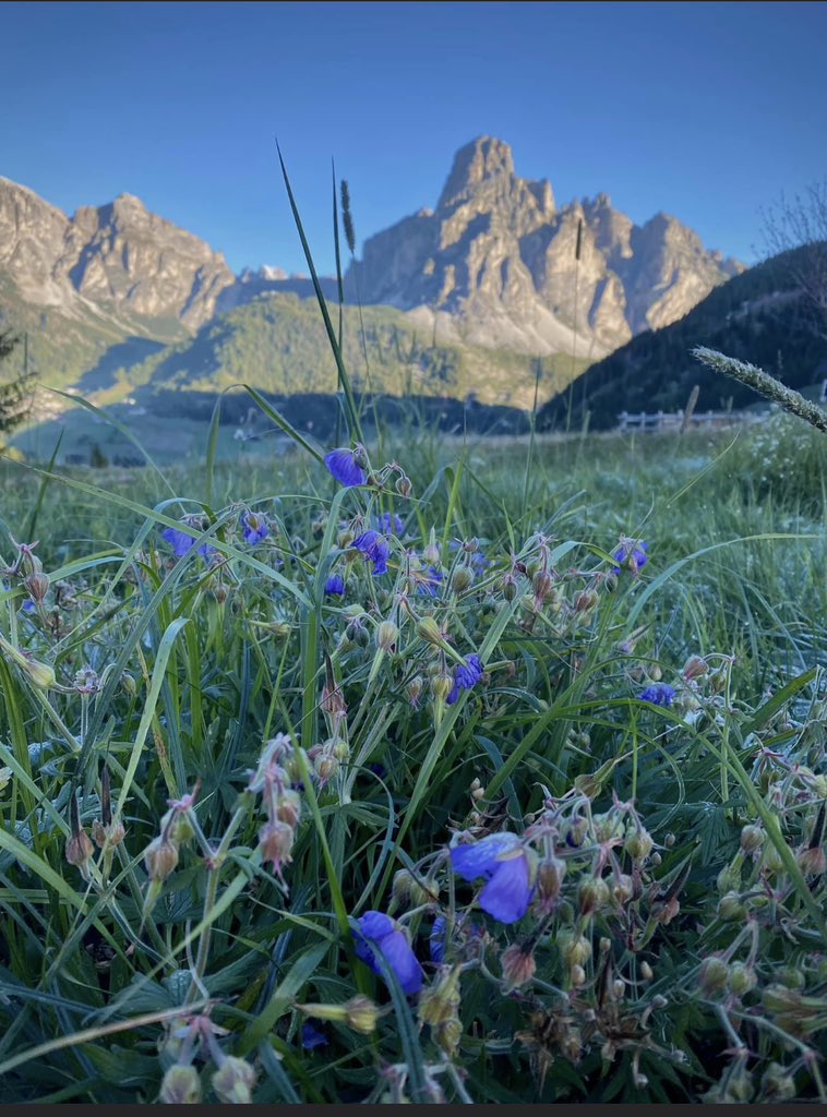 PMoochers's tweet photo. On this day, last year I woke up in the sunny Dolomites. Today, I’m on a train to Nottingham for work and it’s blowing a hooley 😫 https://t.co/0kBwnygjgb
