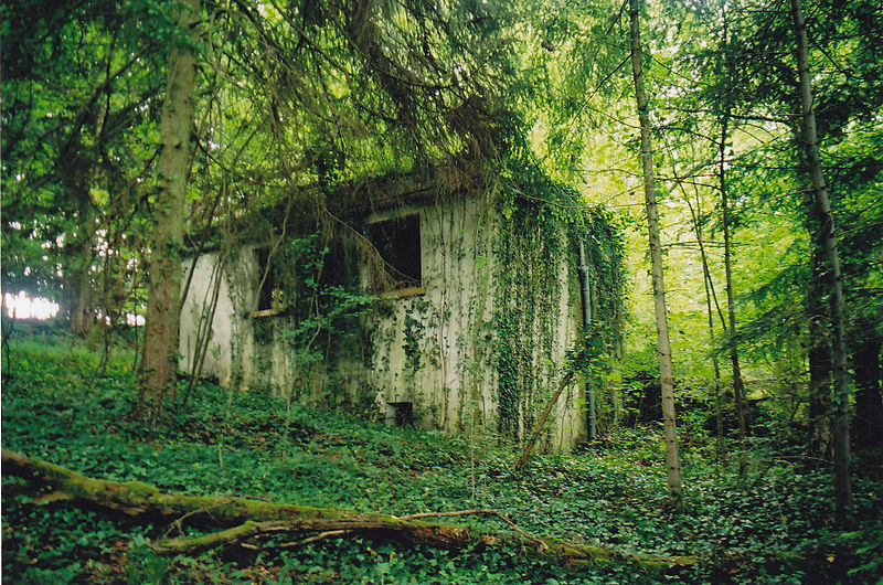 Vanguard_WW2's tweet photo. Peiper had met his end, albeit after having enjoyed many more years of life than his victims in the East, Italy or Belgium. The ruins of the house still stand in the woods. It is a somewhat creepy place to visit. 8/8 https://t.co/QzWpQWIshO