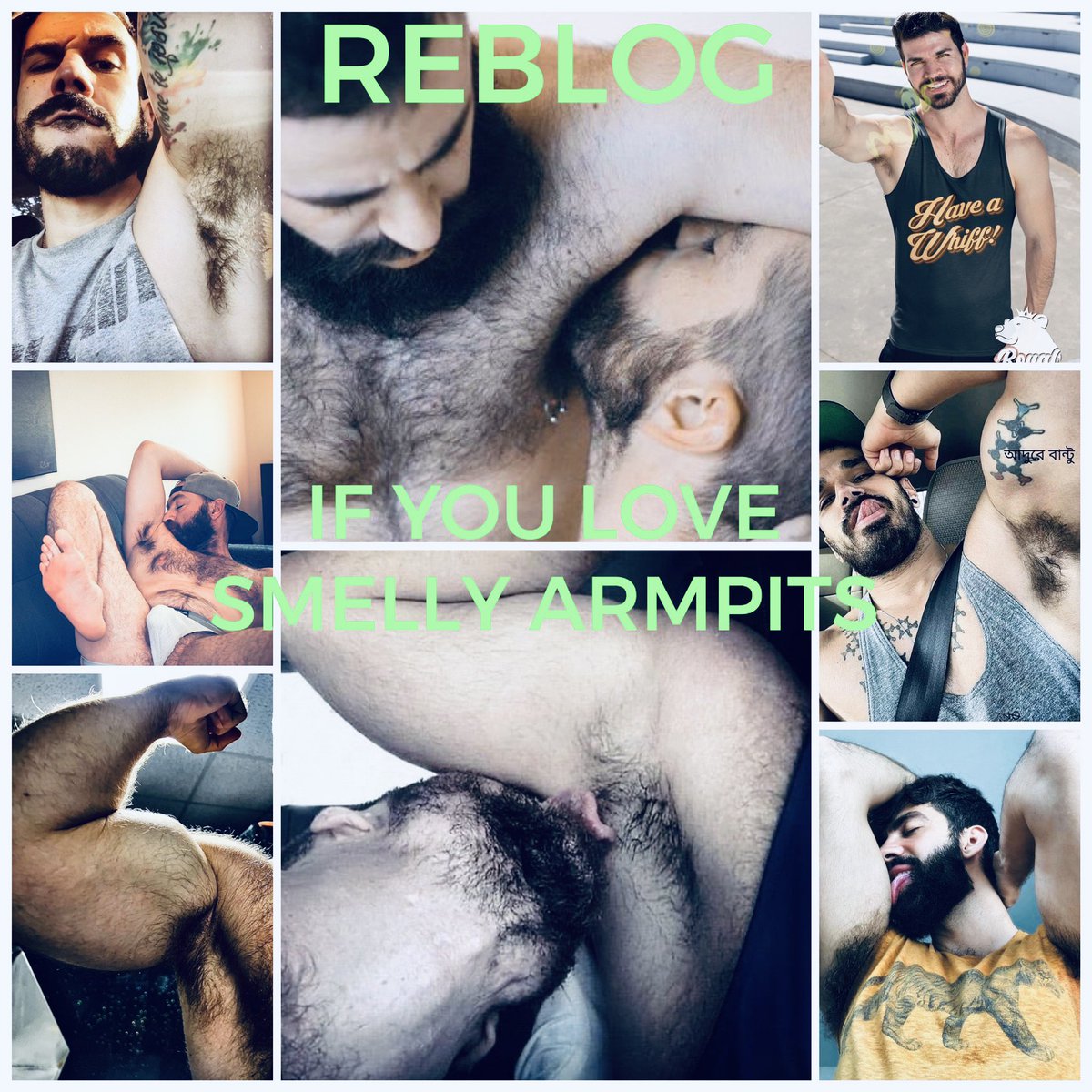 HaafPeter's tweet photo. Happy Smelly Armpits Wednesday #smellyarmpits #smellypig #smellybottom #smellymen #smellyarmpitspig #snellybody #smellyuncutcock #smellyuncuttoxiccock @TaintedPig @PozDadBear @vigilepoilu @bbfunparty @Redbull_italy @Suckinghot1975 @piggy_MJ @messytradie @BaselBloke @LoverSmegma https://t.co/kA9qIiBYwC