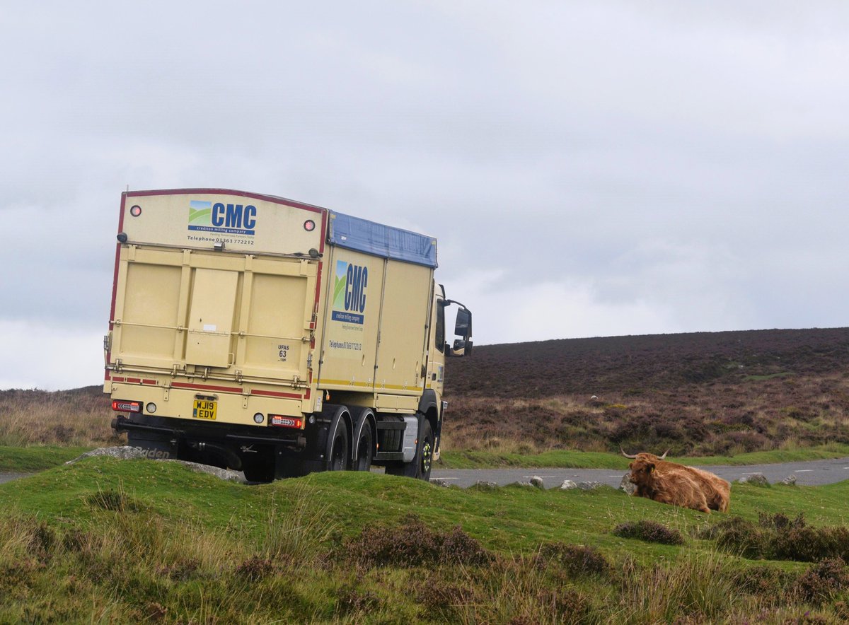 'Meals on Wheels' 🍽️ 🐄

Thank you to Melvyn for capturing this great shot of one of our fleet out delivery on Dartmoor  😍. 

We love seeing your photos, so please do send them in to marketing@creditonmilling.co.uk  💌

#fedbycmc #teamcmc #farmlife #lifeonthefarm #cattlefarming