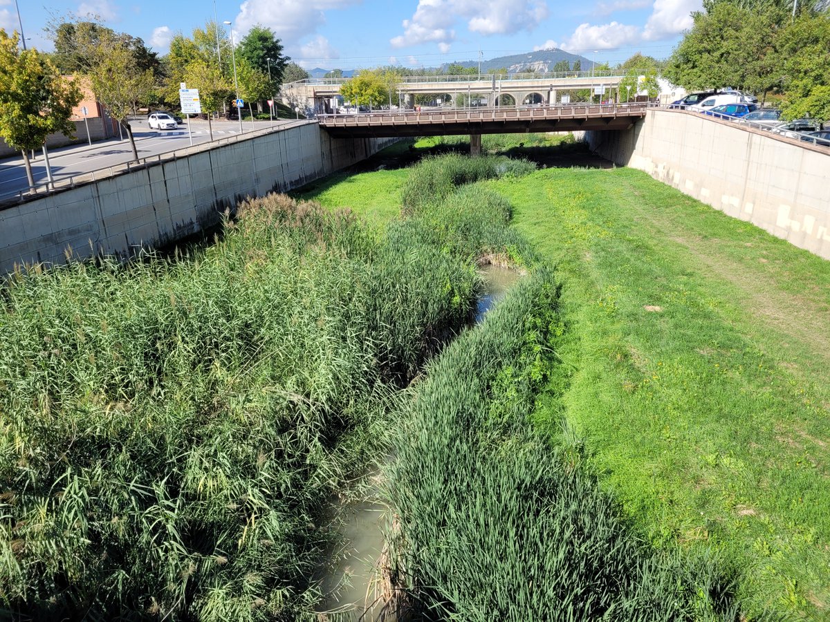 Vic Medi Ambient tweet media