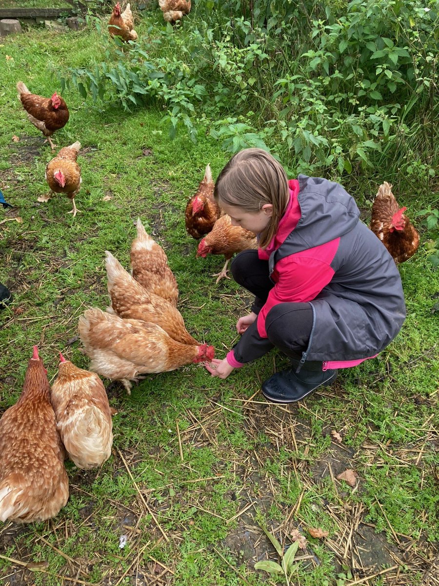 Willow Park C of E Primary School tweet media